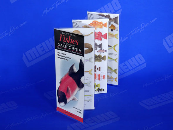 Laminated Fold Out Style Fishing Informational Guide For Southern California
