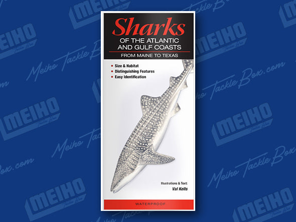 Informational Reference Guide Of All Sharks Caught In Off The Atlantic and Gulf Coasts